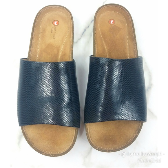 clarks rosilla hollis